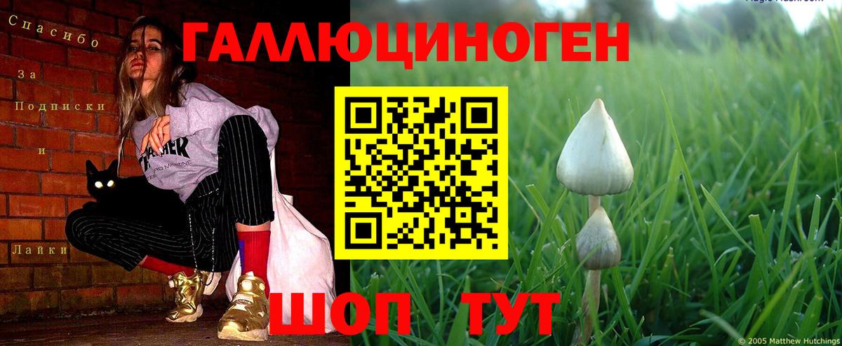 Псилоцибиновые грибы мухоморы  Галлюциногенные грибы мухоморы  Вход с VPN  Бутурлиновка 