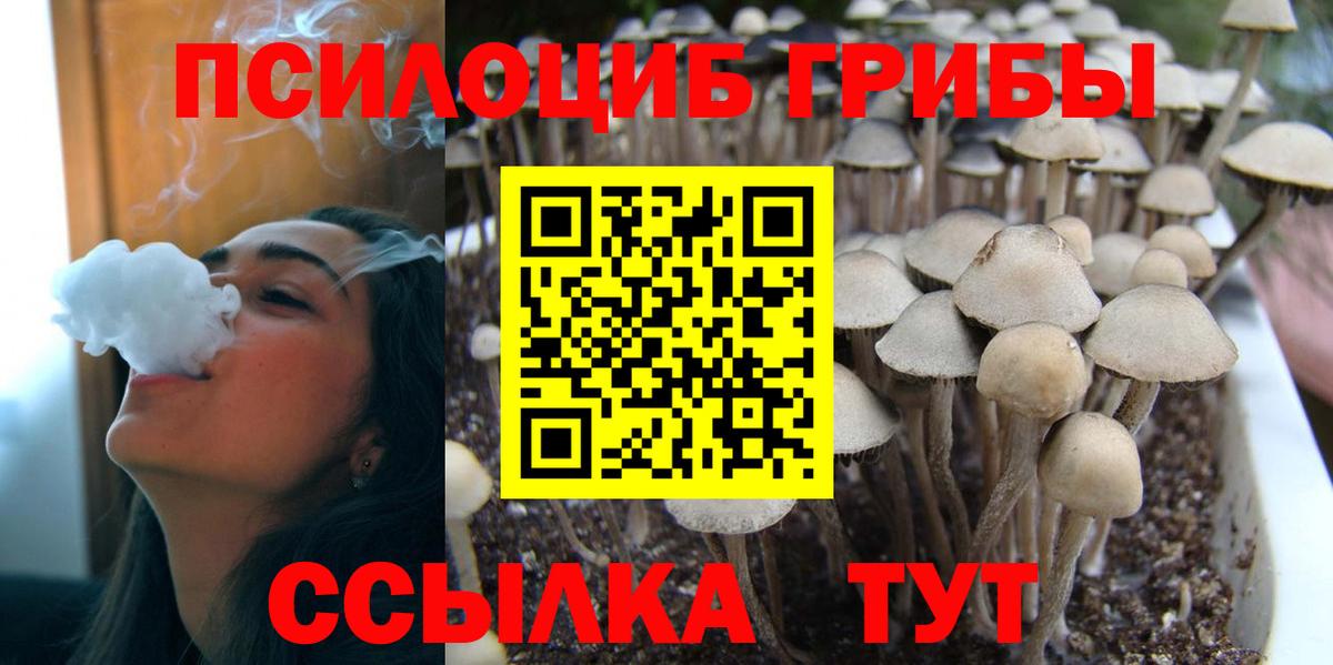 Псилоцибиновые грибы MAGIC MUSHROOMS Бутурлиновка